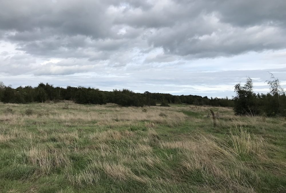 Betteshanger Country Park