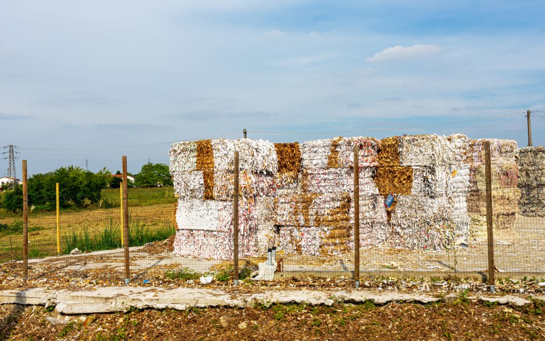 Paper Mill